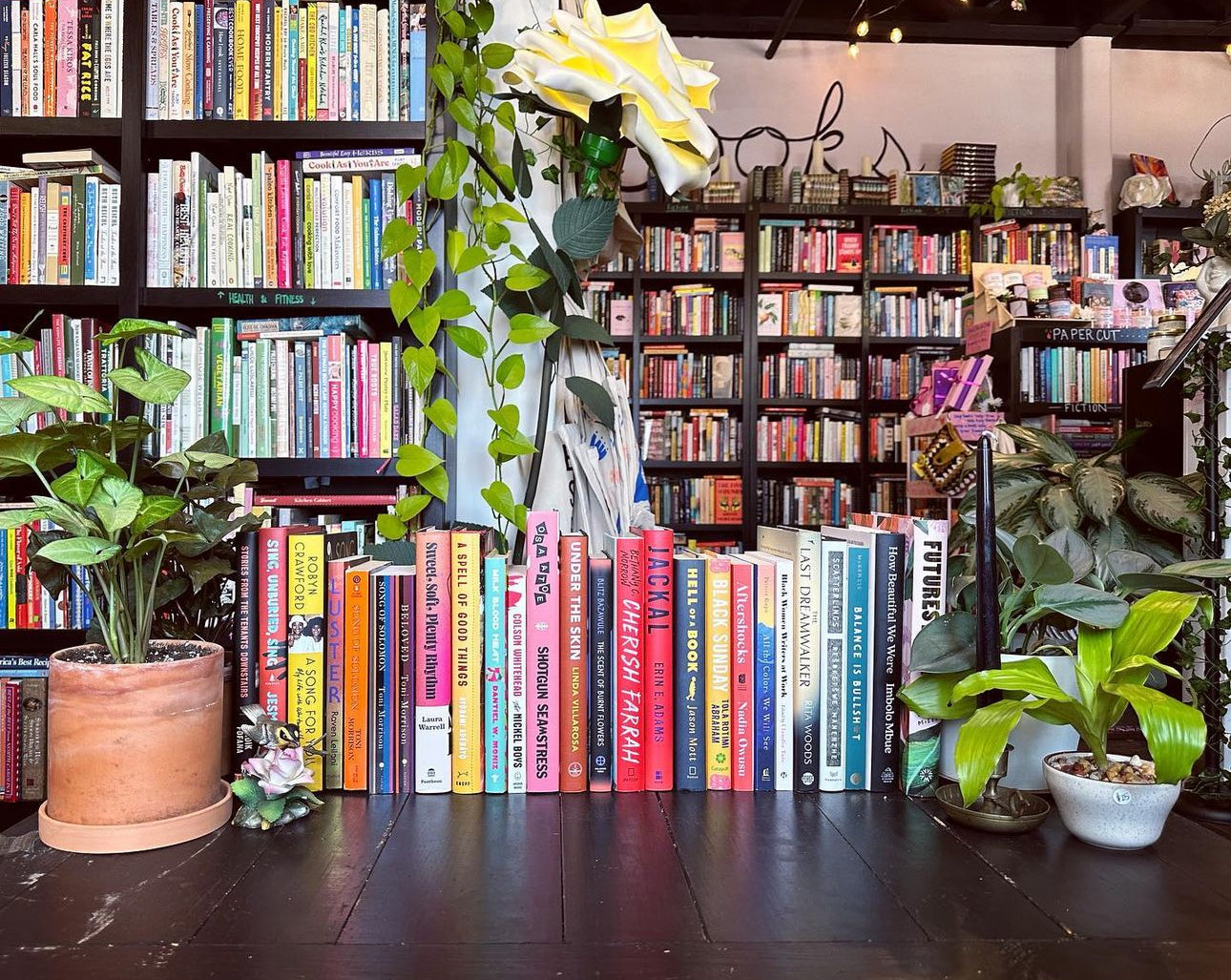 💕Papercut Picks 💕